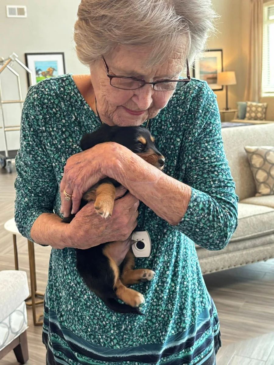 Calumet Trace - a Charter Senior Living Community resident loving a visit from puppies