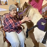 Life at Vincentian Home-photo-5