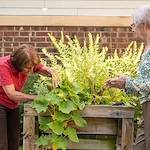 Life at Heritage Monona-photo-4