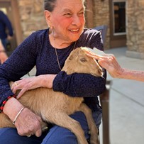 Petting Baby Goats
