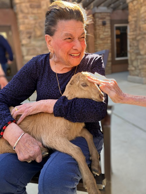 Petting Baby Goats