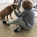 Life at The Pinnacle of Southaven-photo-1