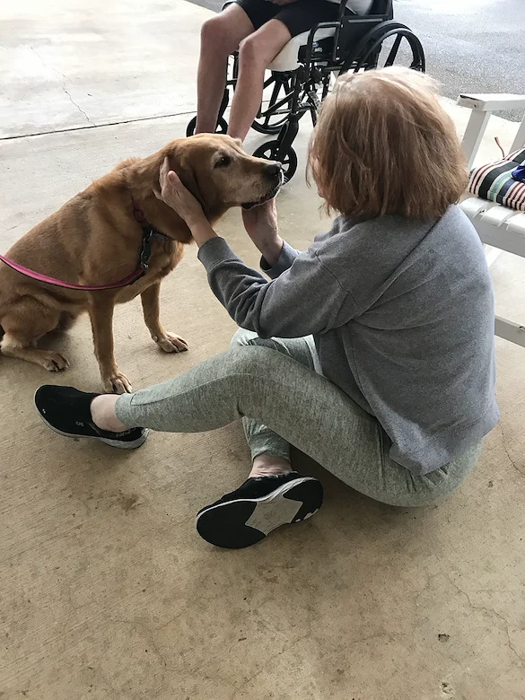 Life at The Pinnacle of Southaven-photo-1