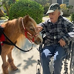 Activities and entertainment are thoughtfully designed to cater our residents’ needs.  The programs prioritize safety, engagement, cognitive stimulation, and emotional well-being.