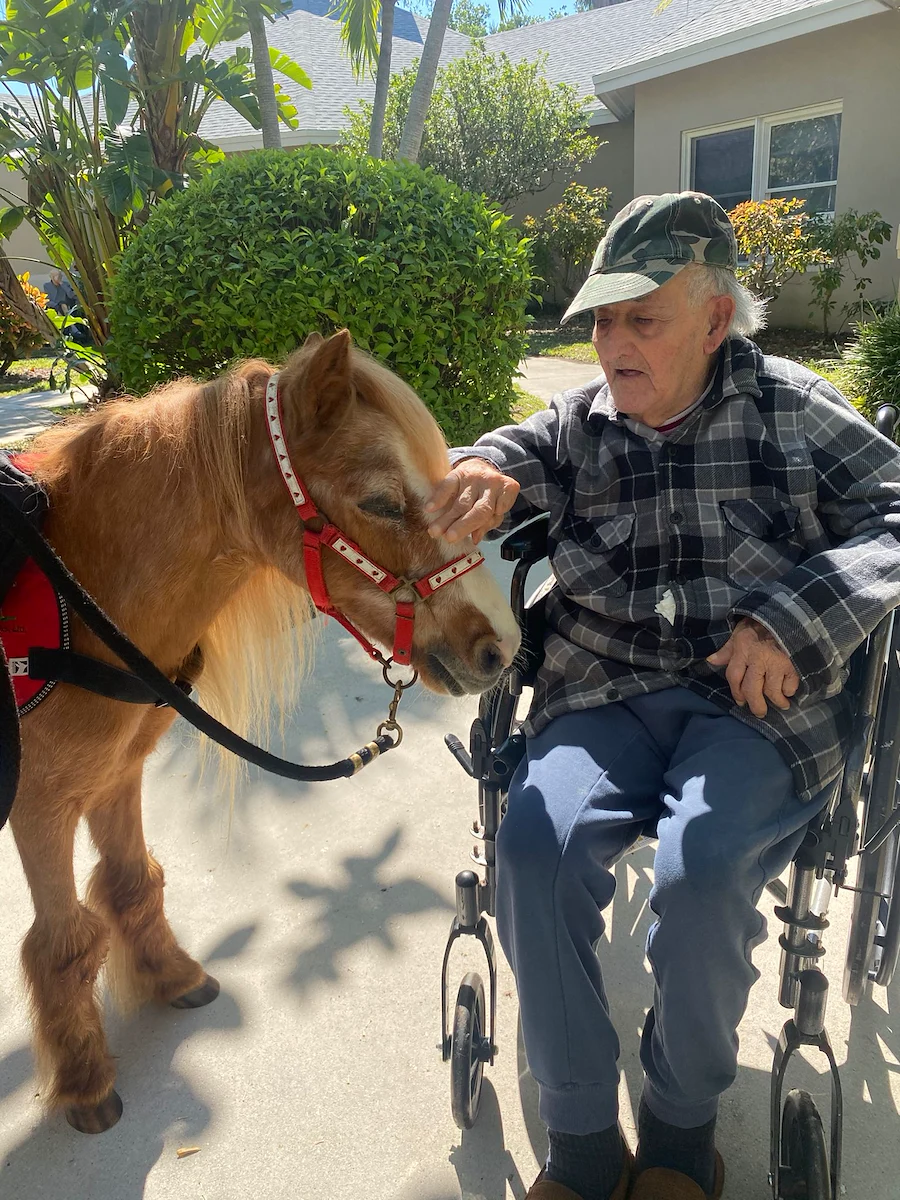 Activities and entertainment are thoughtfully designed to cater our residents’ needs.  The programs prioritize safety, engagement, cognitive stimulation, and emotional well-being.