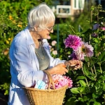 Judson Park Senior Living in Des Moines, WA, resident gathering beautiful flowers