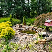 Life at Arcadia Senior Living Louisville-photo-4