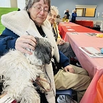 Residents at the ASPCA