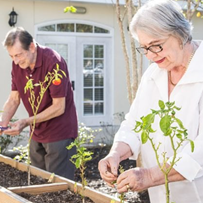 Life at The Verandah Retirement Community-photo-2