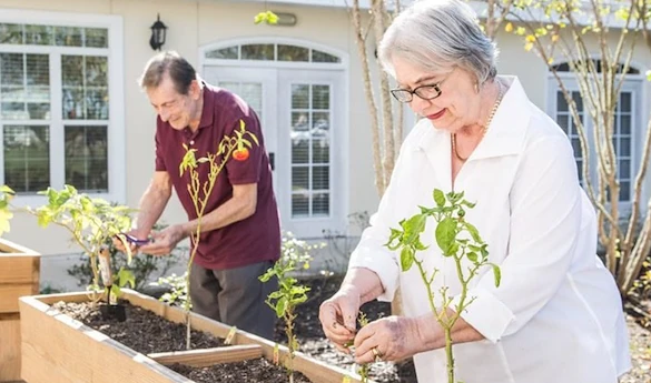 Life at The Verandah Retirement Community-photo-2