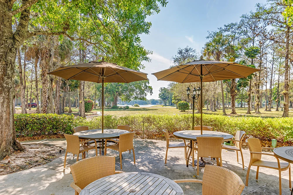 Life at Forest Trace Senior Living-photo-2