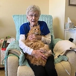 Life at Cappella of Pueblo West-photo-2