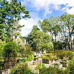 The Mansion at Rosemont Senior Living in Rosemont, PA, residents gathering together in the outdoor space