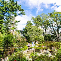 The Mansion at Rosemont Senior Living in Rosemont, PA, residents gathering together in the outdoor space