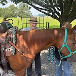 Charter Senior Living of Cleveland off-site trip to visit therapy horses