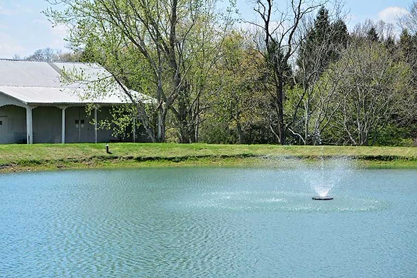 Life at The Glenwood Community-photo-2