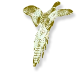 Manor Management of Alaska, Inc.'s Logo