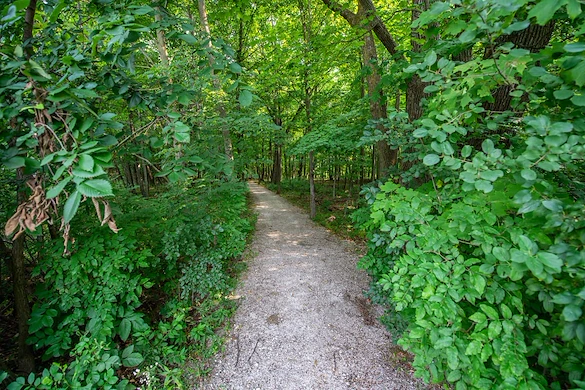 Life at Highlands at Wildwood Lake-photo-9