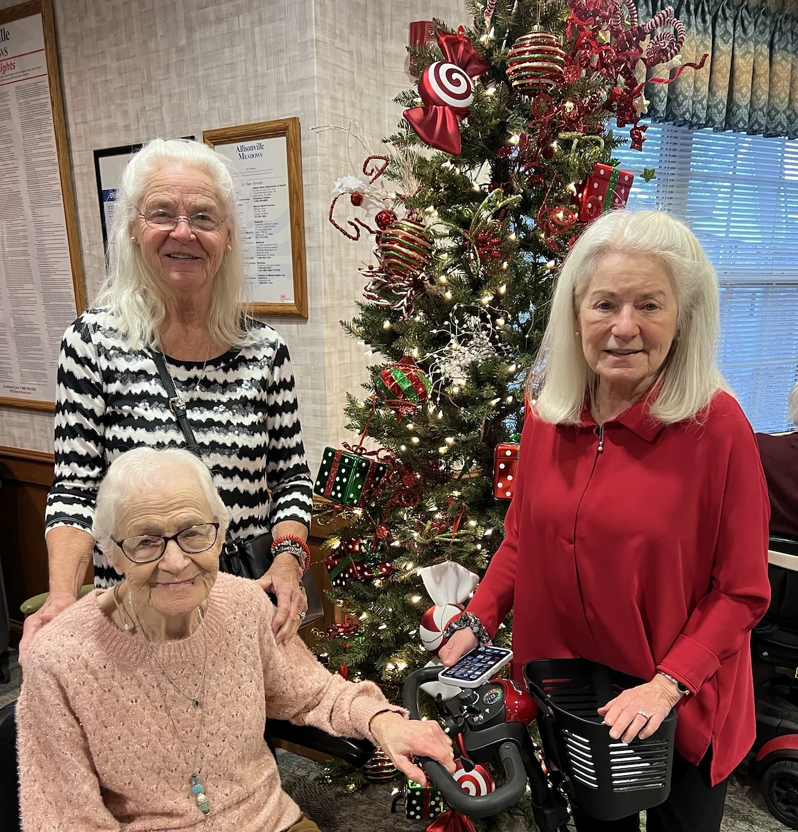 Allisonville Meadows Assisted Living offering assisted living, memory care, and respite care in Fishers, IN, residents smiling during the Christmas season