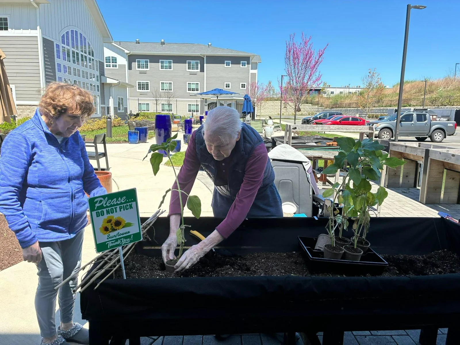 Life at Charter Senior Living of Orange-photo-6