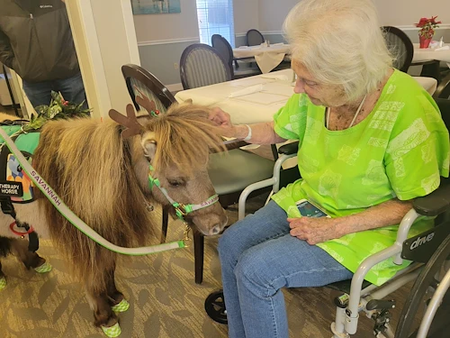 ESA mini horse