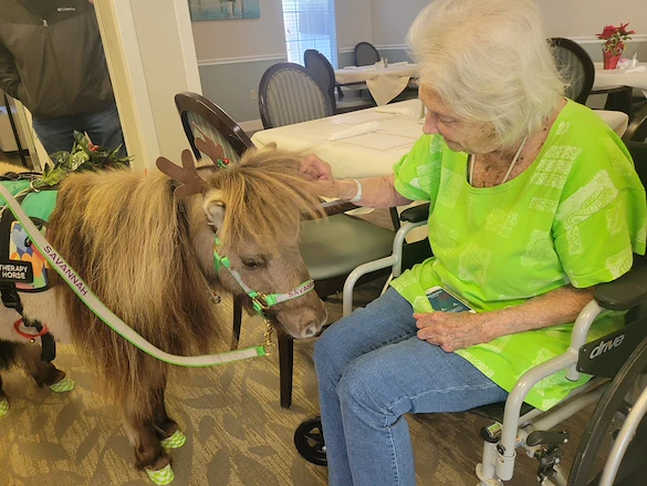 ESA mini horse