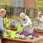 Life at Summerset Senior Living - Lincoln-photo-4