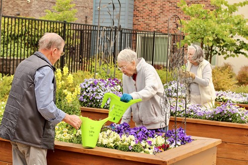 Life at Summerset Senior Living - Lincoln-photo-4