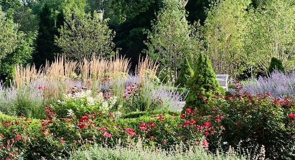 Life at The Mather Evanston Senior Living-photo-1