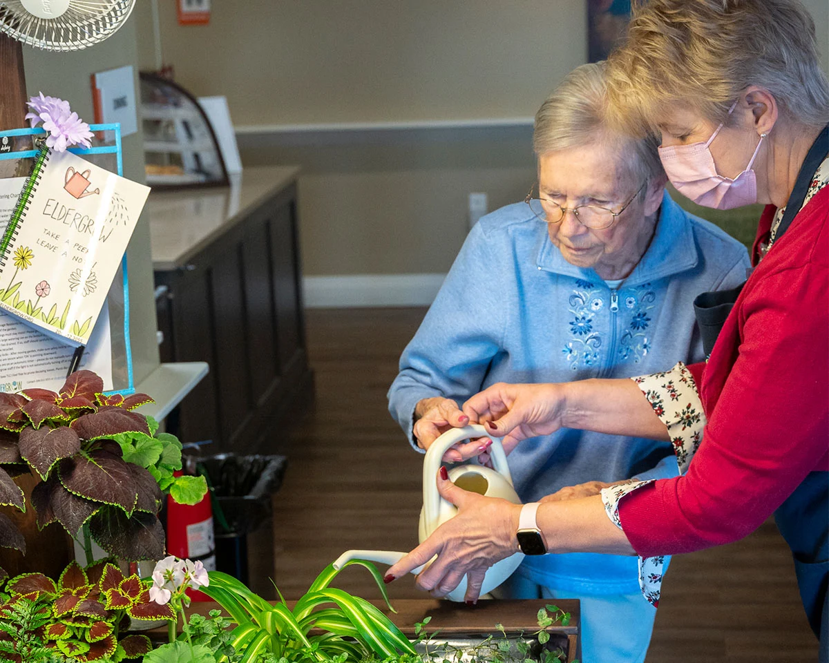 Life at Village at Belmar-photo-2