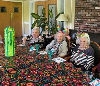 Life at The Springvale Inn-photo-4