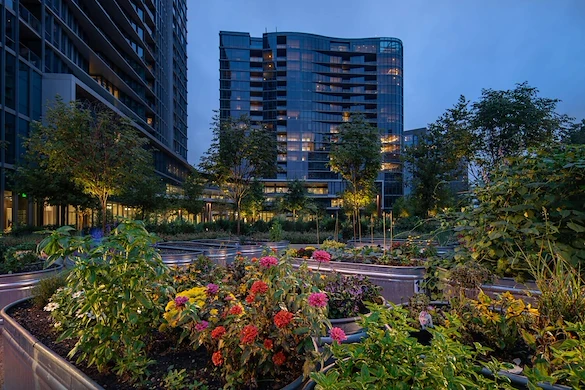 Life at The Mather Tysons-photo-8