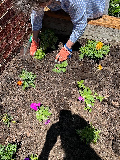 Brookdale Green Hills Cumberland gardening