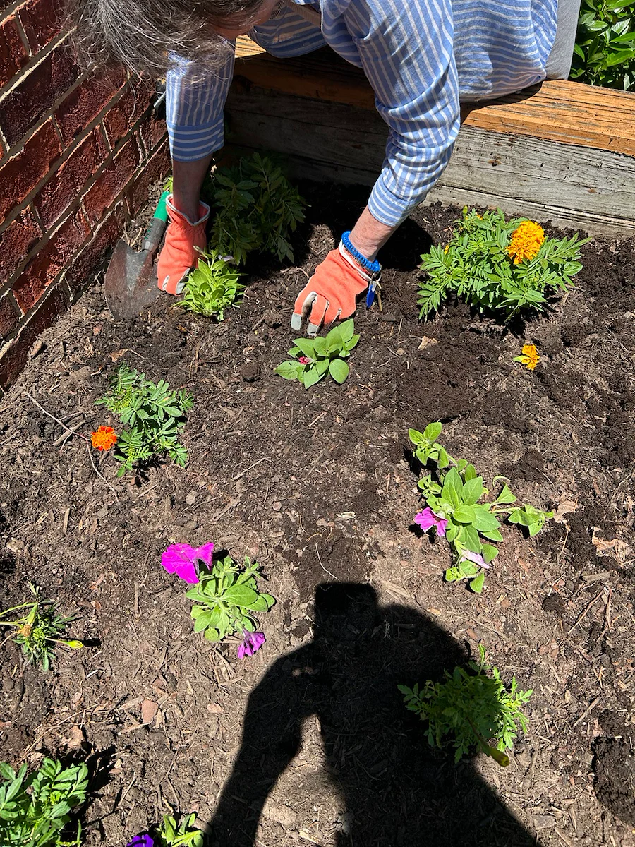 Brookdale Green Hills Cumberland gardening