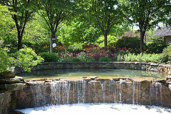 Life at Judson Park-photo-3
