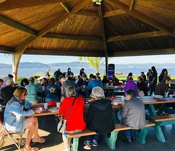 Life at The Springvale Inn-photo-2