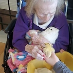 Life at The Cottages at Edgewood-photo-2