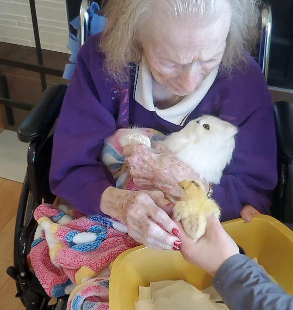 Life at The Cottages at Edgewood-photo-2