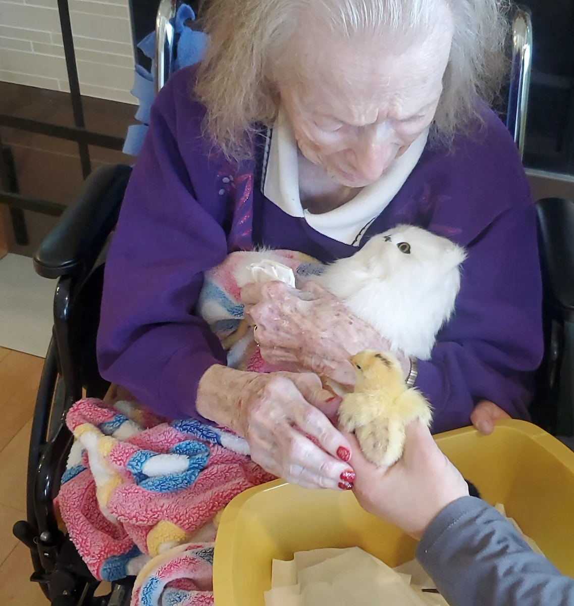 Life at The Cottages at Edgewood-photo-2