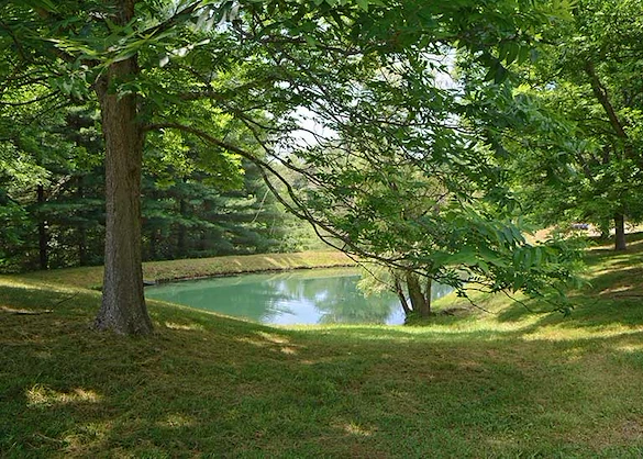 Life at The Glenwood Community-photo-5