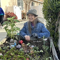 outdoor gardening