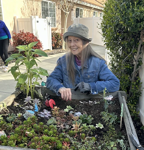 outdoor gardening