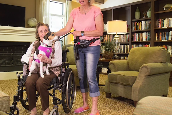 Franklin Park Alamo Heights resident in a wheelchair petting a therapy dog