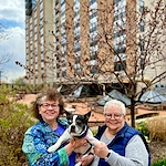 Life at Capitol Lakes Residences-photo-3