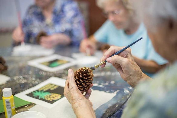 Life at CrownPointe of Anderson-photo-3