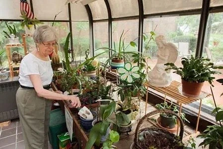 Ascension Living Resurrection Village Senior Living in Chicago, Illinois resident tending to garden in greenhouse