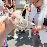 Life at Spring Village at Dover-photo-6