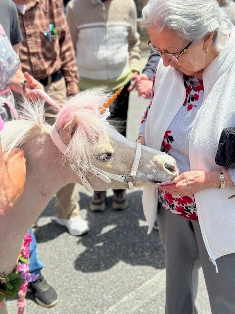 Life at Spring Village at Dover-photo-6