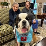Brookdale Green Hills Cumberland residents enjoying a visit from a dog
