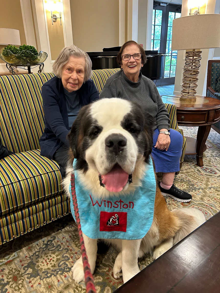 Brookdale Green Hills Cumberland residents enjoying a visit from a dog